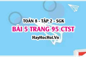 Bài 5 trang 95 Toán 8 Tập 2 Chân trời sáng tạo